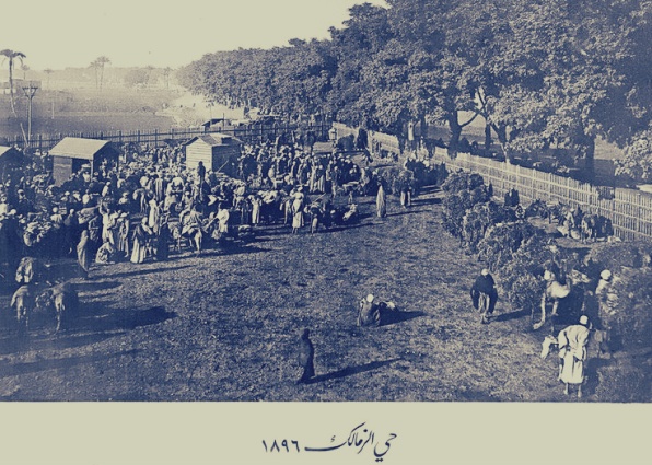 الزمالك الزمالك