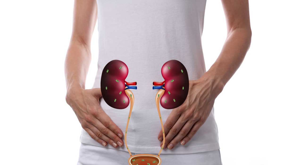 أنسى الآلم .. نصائح رائعة للتخلص من التهابات المسالك البولية