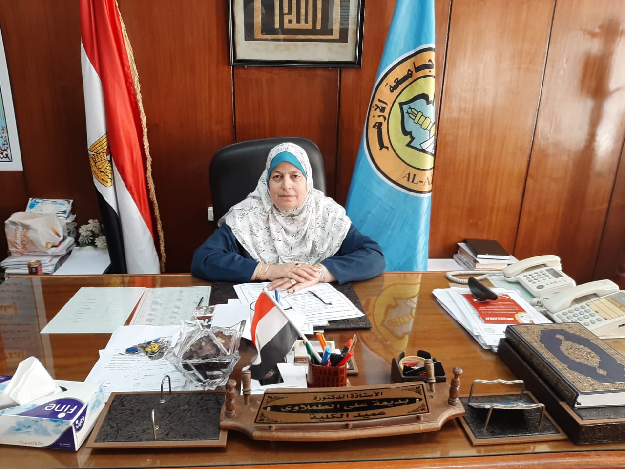 الدكتور بديعة على الطملاوي عميدة الكلية الدكتور بديعة على الطملاوي عميدة الكلية