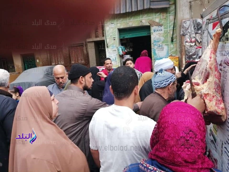 قوافل مستقبل وطن لبيع اللحوم البلدي في الغربية قوافل مستقبل وطن لبيع اللحوم البلدي في الغربية