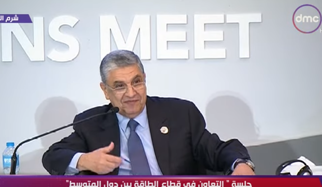 الدكتور محمد شاكر وزير الكهرباء