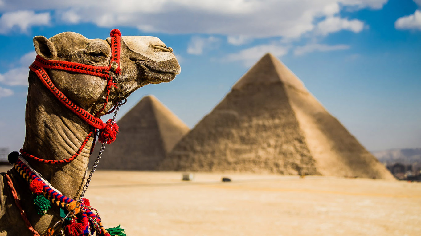 مصر تتصدر قائمة الوجهات السياحية المفضلة للأمريكيين