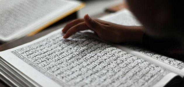 هل يجوز قراءة القرآن بدون وضوء .. الإفتاء توضح|فيديو
