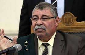  حسن فريد