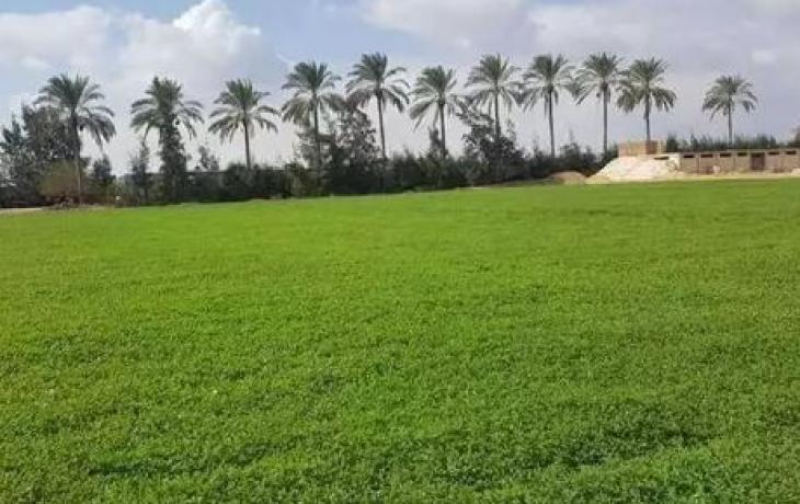اراضي زراعية اراضي زراعية