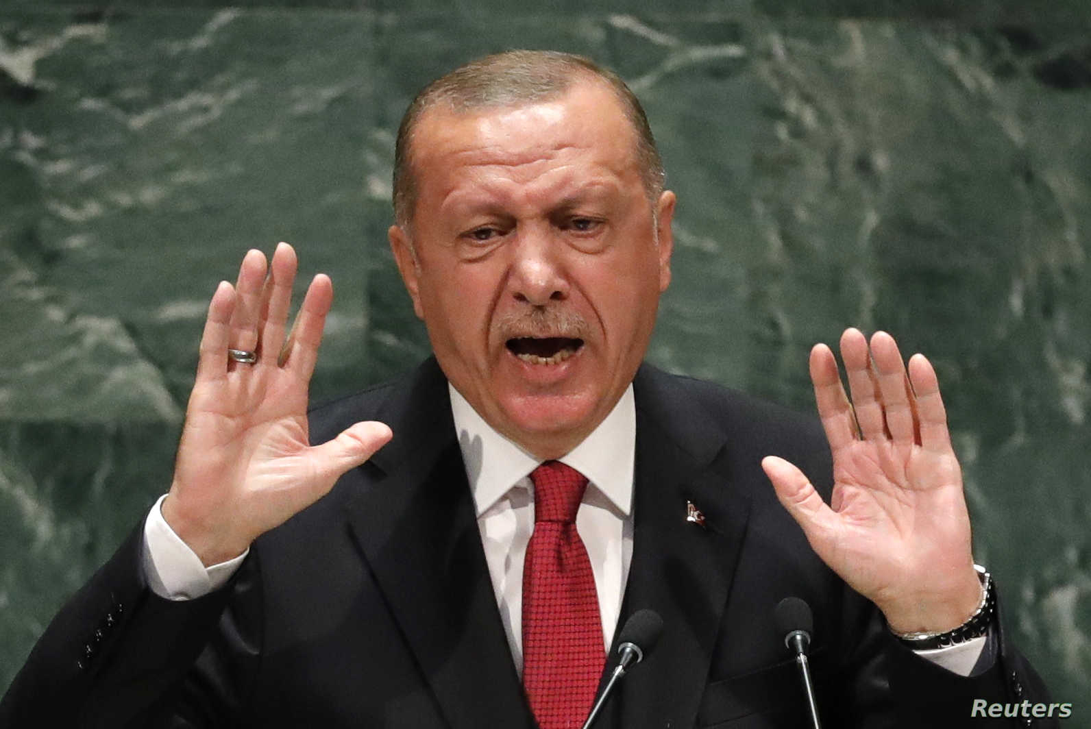 الرئيس التركي رجب طيب أردوغان الرئيس التركي رجب طيب أردوغان