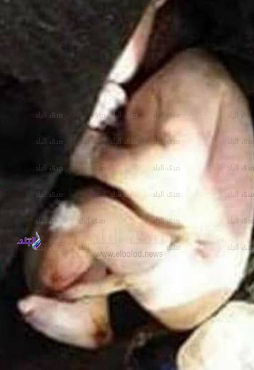 انتشال طفلة 