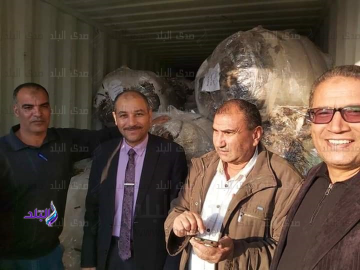 جمارك الصادر بدمياط تحبط تهريب جلود حمير فى شنحة صوف أغنام