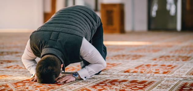 أمين الفتوى: أداء الصلاة بمجرد الآذان وحتى قبل الإقامة صحيحة أمين الفتوى: أداء الصلاة بمجرد الآذان وحتى قبل الإقامة صحيحة