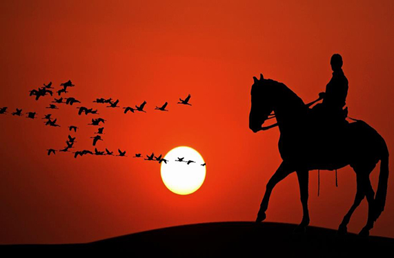 الزبير بن العوام.. الأزهر يوضح جوانب من حياة حواري رسول الله