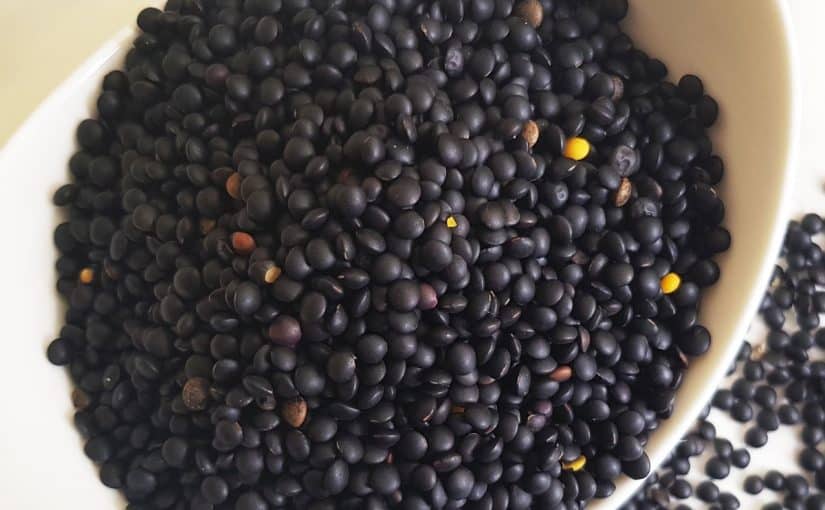 فوائد العدس الاسود فوائد العدس الاسود