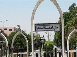 جامعة المنيا جامعة المنيا