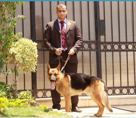 فرد الحراسة هل يمكن له ترك صلاة الجمعة