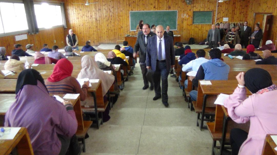 جامعة المنيا