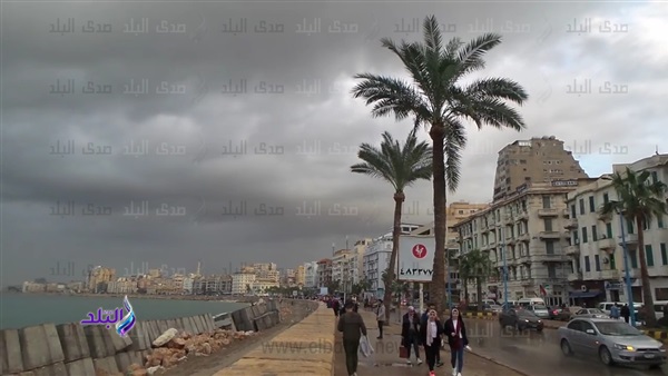 أمطار ورياح بالإسكندرية - ارشيفية 