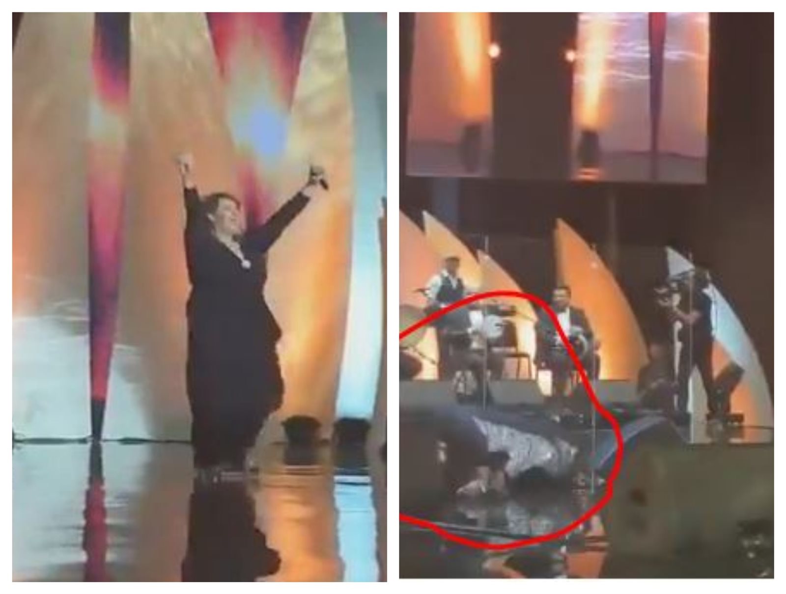 الديفا التونسية