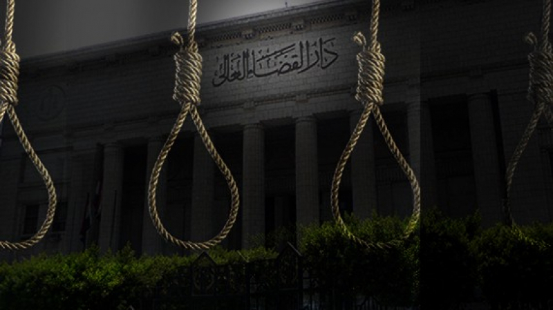 إحالة أوراق قاتلة الطفلتين شروق و شهد بنجع حمادي إلى المفتي