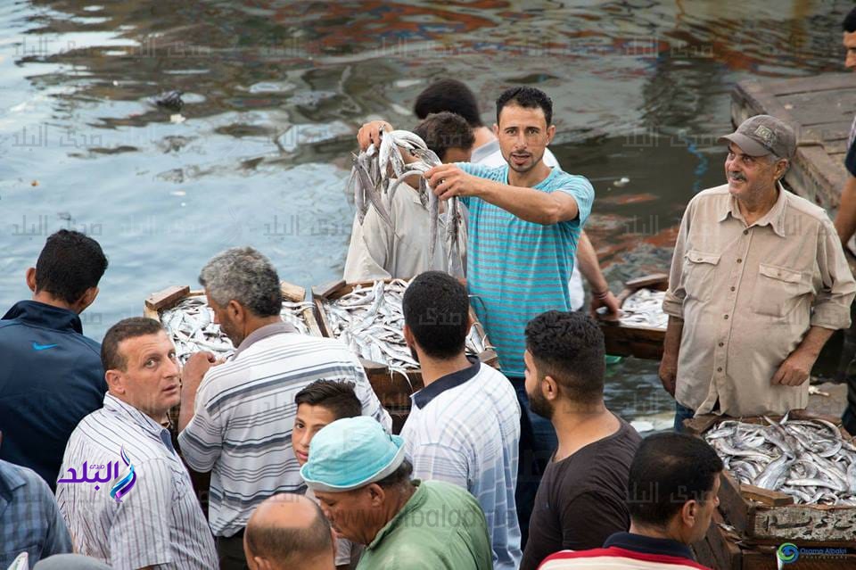 صيادي عزبة البرج