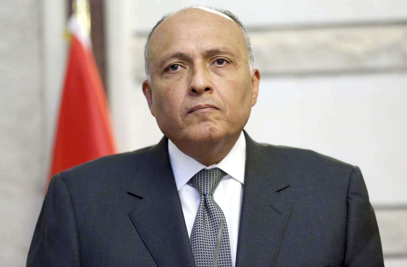 السفير سامح شكري وزير الخارجية