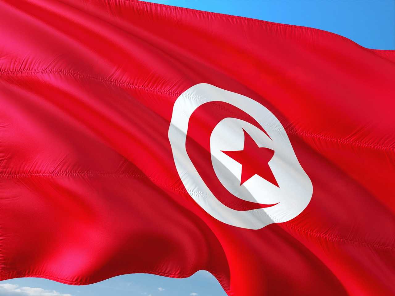 تونس تتعهد بالوقوف ضد التدخل الأجنبي في ليبيا تونس تتعهد بالوقوف ضد التدخل الأجنبي في ليبيا
