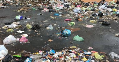 النخيل 6اكتوبر الاسكندرية النخيل 6اكتوبر الاسكندرية
