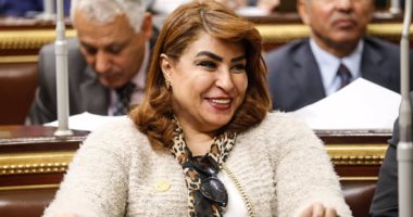 النائبة غادة عجمى ، عضو لجنة العلاقات الخارجية بالبرلمان 