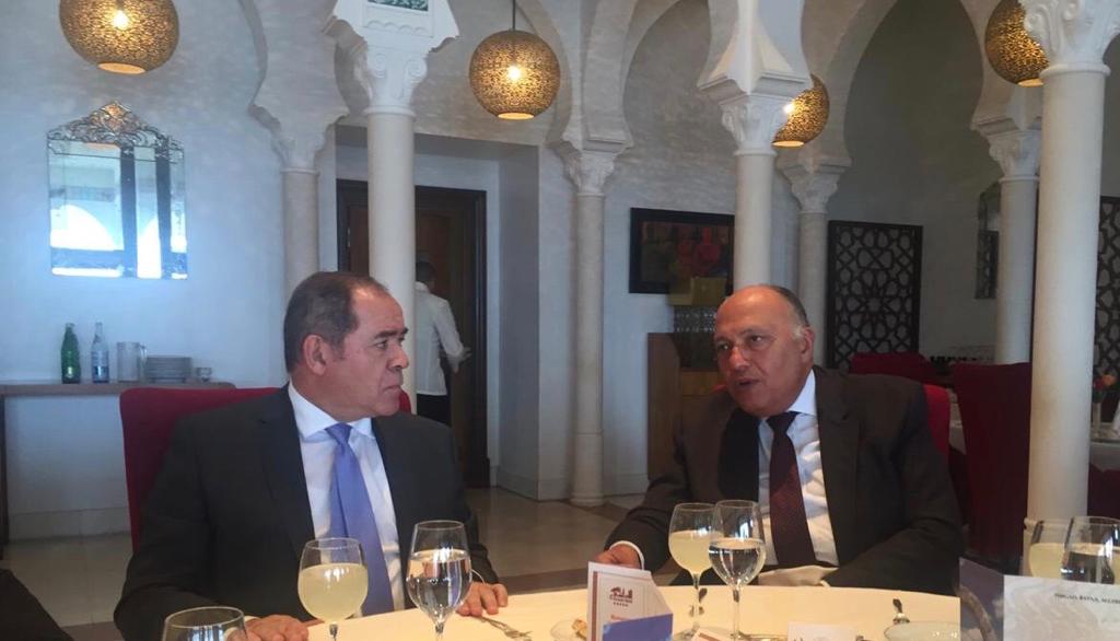 وزير الخارجية سامح شكري يمين الصورة خلال لقاء ونظيره الجزائر وزير الخارجية سامح شكري يمين الصورة خلال لقاء ونظيره الجزائر