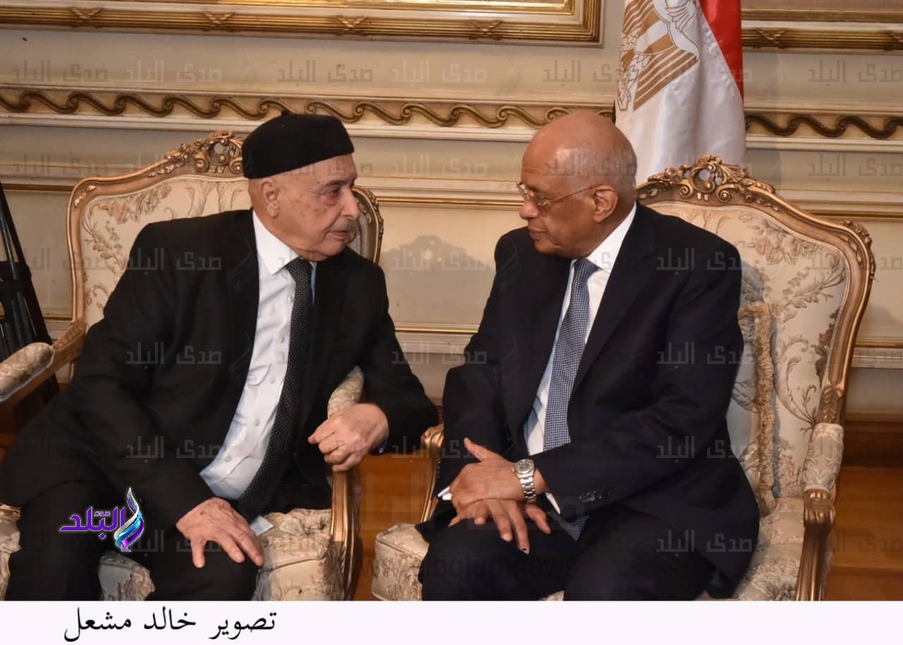 عبد العال يستقبل المستشار عقيلة صالح رئيس مجلس النواب الليبي