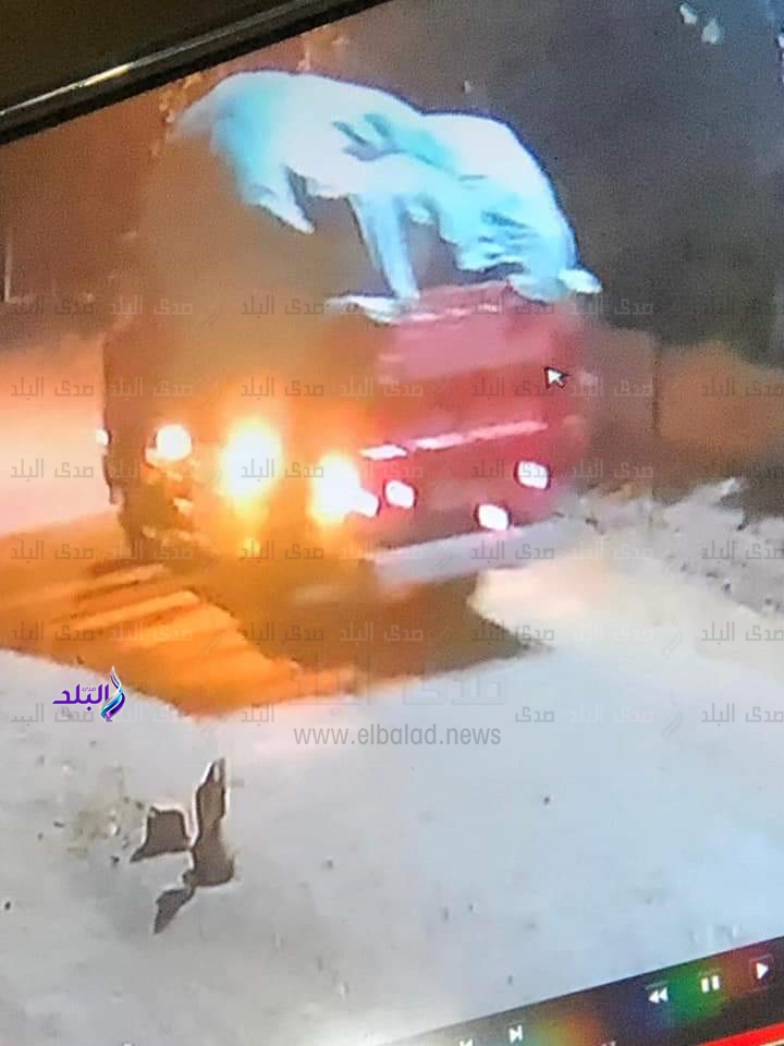 لصوص الغربية بعدما سرقوا بضاعة بـ 7 مليون جنيه
