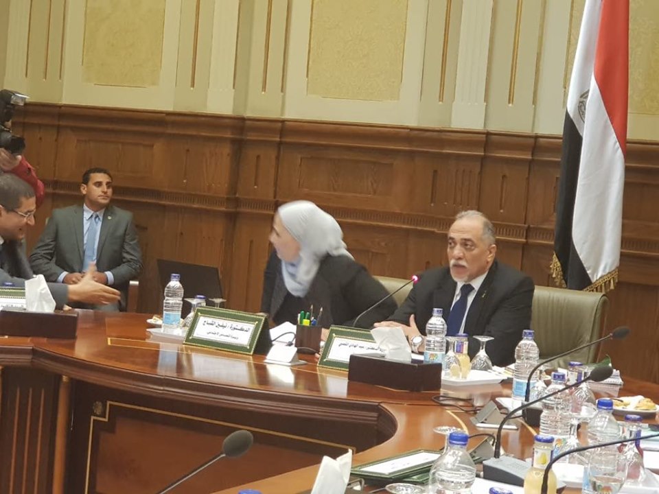 رئيس لجنة تضامن النواب وزعيم الاغلبية الدكتور عبد الهادى الق