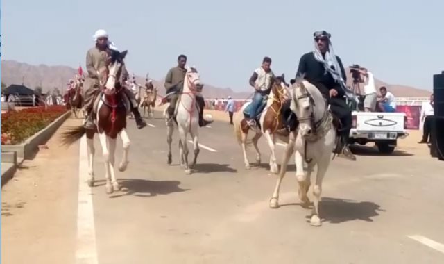 مهرجان شرم الشيخ الدولي للهجن