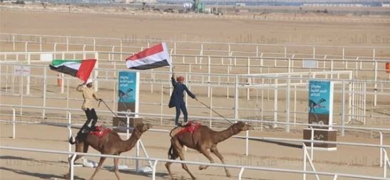 انطلاق ثانى أيام سباق الهجن بشرم الشيخ انطلاق ثانى أيام سباق الهجن بشرم الشيخ