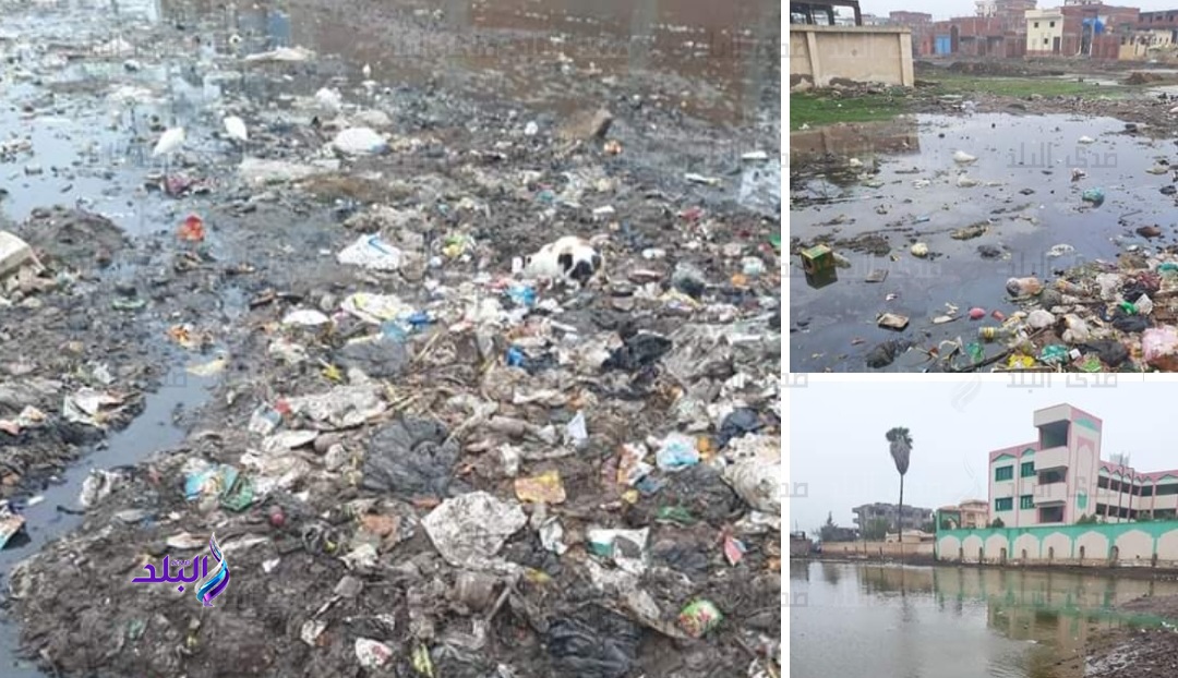 أهالي محلة أبو علي بـ كفر الشيخ يستغيثون من القمامة 
