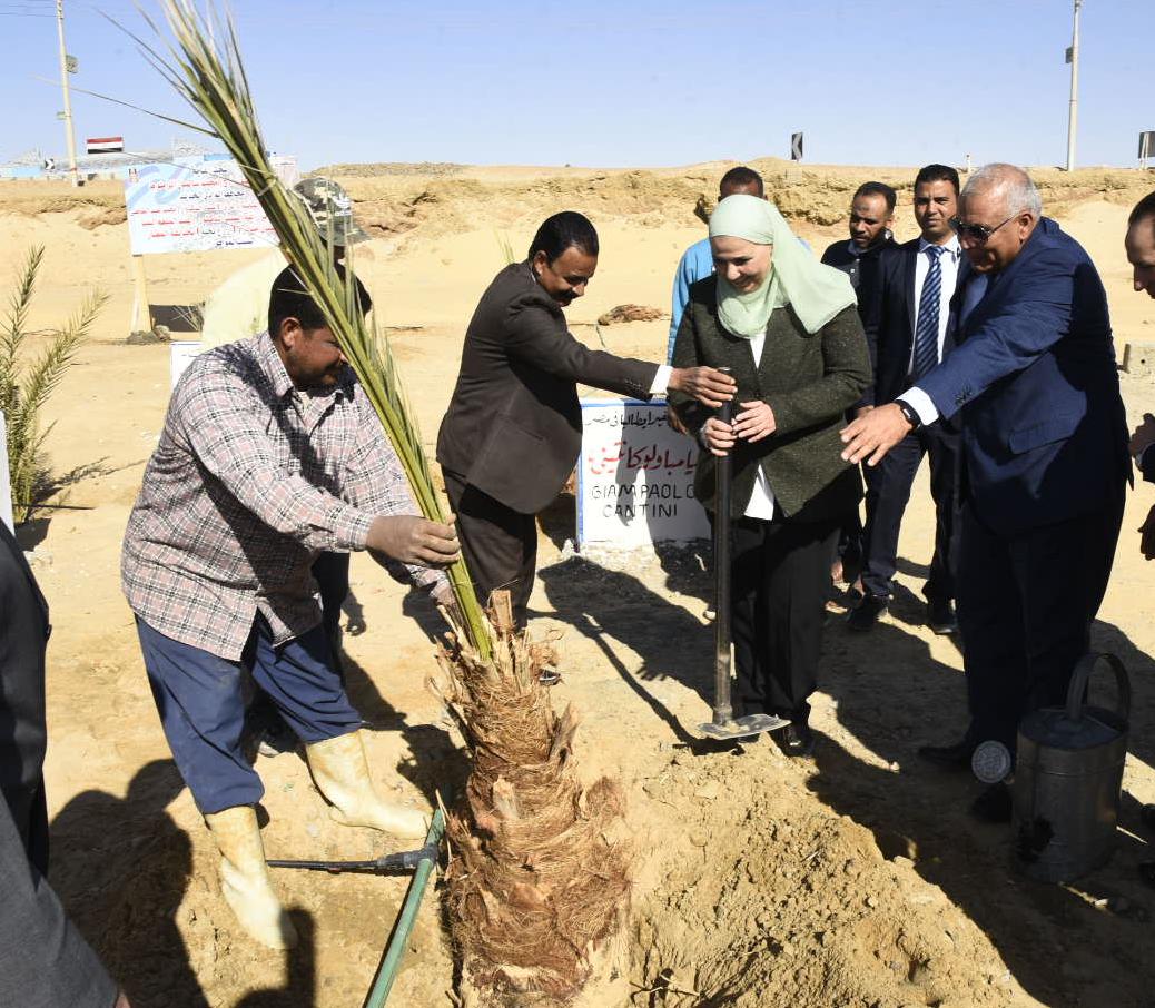  نيفين القباج وزير التضامن الاجتماعي