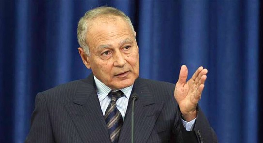 أحمد أبو الغيط 
