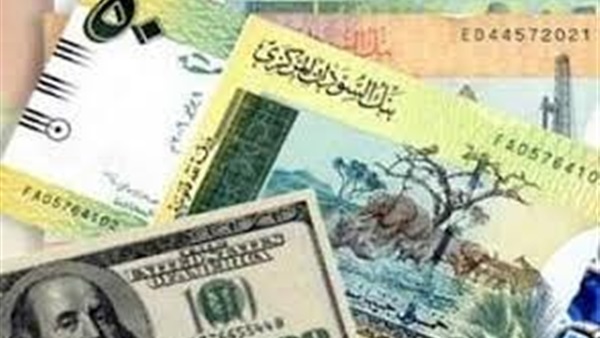السودان يعلن عدم وجود احتياطيات نقدية لحماية الجنيه