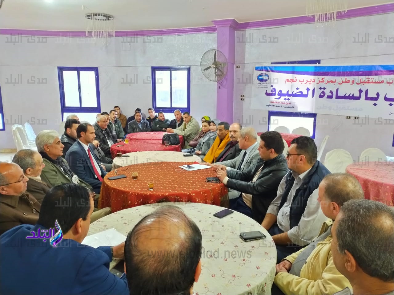 حزب مستقبل وطن