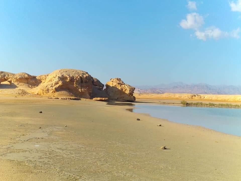 مجمع البحرين بجنوب سيناء