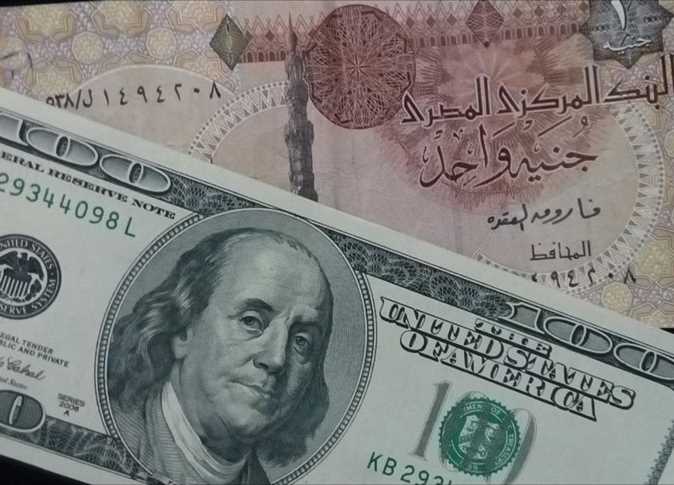 الجنيه المصري والدولار