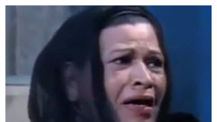 الفنانة اعتدال المصري