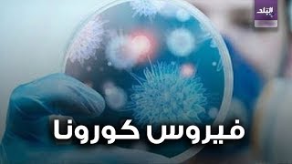 فيروس كورونا