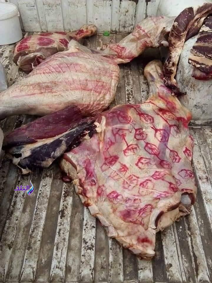 لحوم غير صالحة