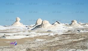 محمية الصحراء البيضاء
