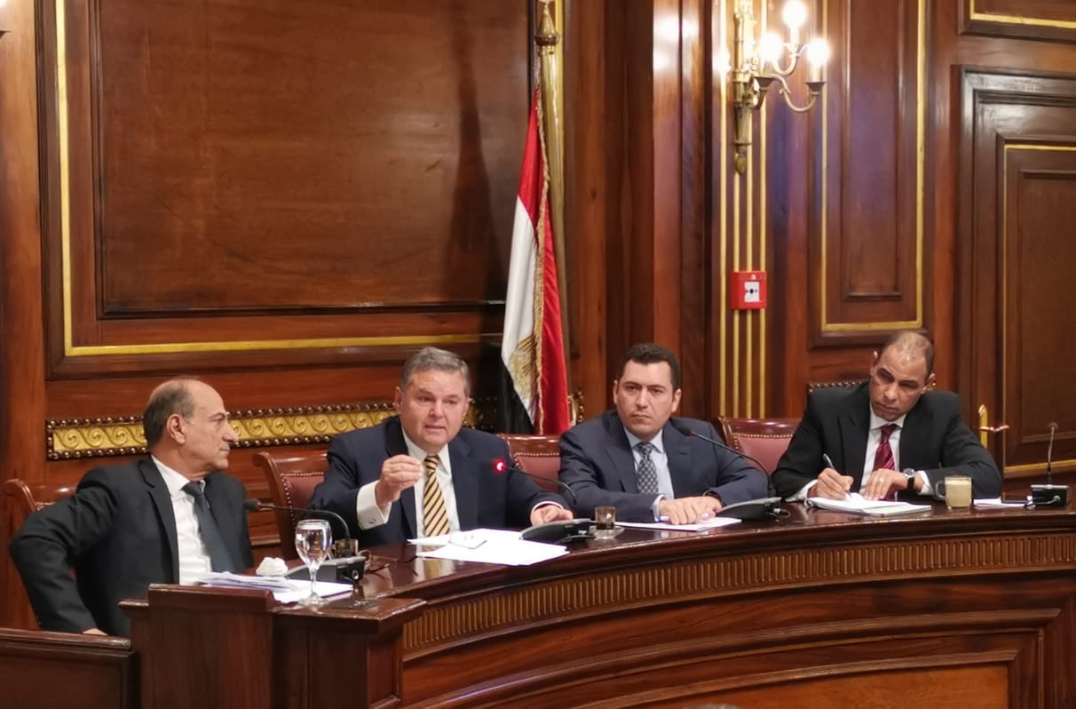 وزير قطاع الاعمال بلجنة الصناعة بمجلس النواب 