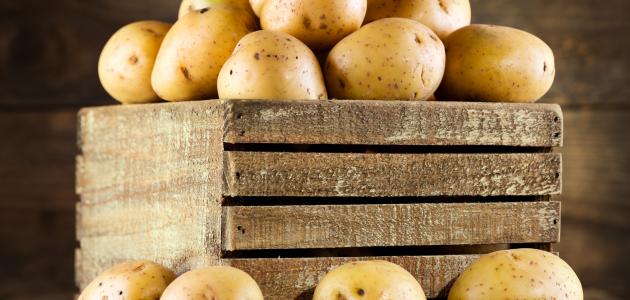 طريقة عجيبة لتخزين البطاطس أطول فترة بقشرها طريقة عجيبة لتخزين البطاطس أطول فترة بقشرها