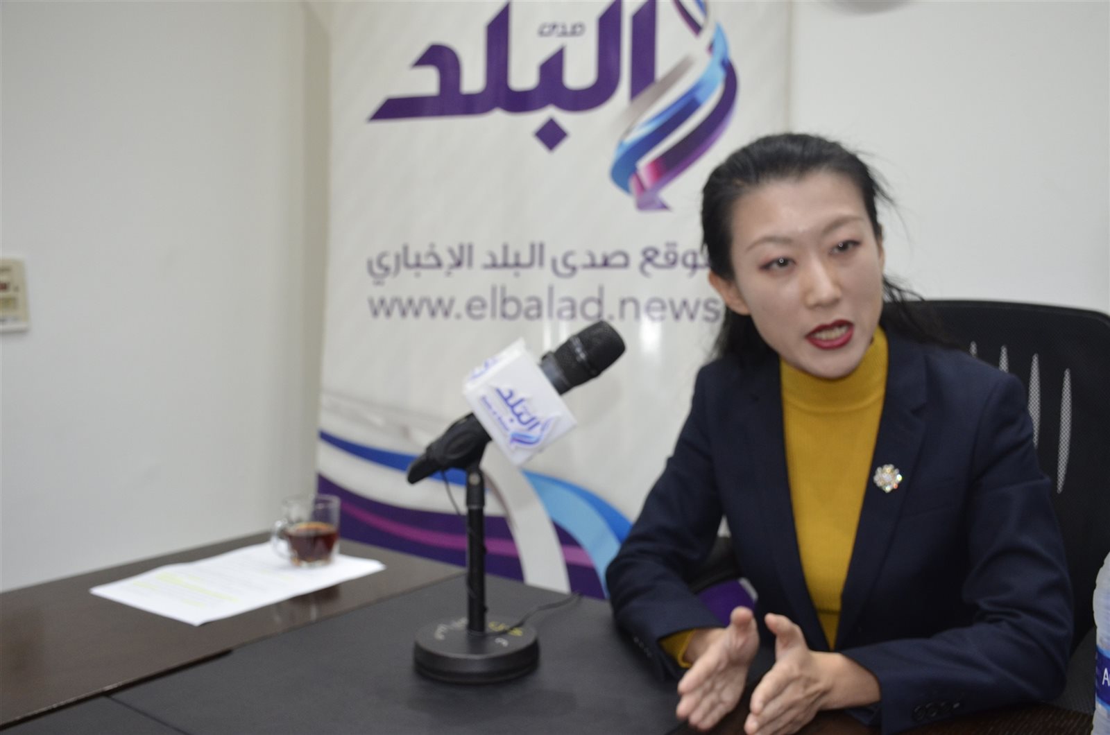 الإعلامية الصينية الشهيرة فيحاء وانغ الإعلامية الصينية الشهيرة فيحاء وانغ