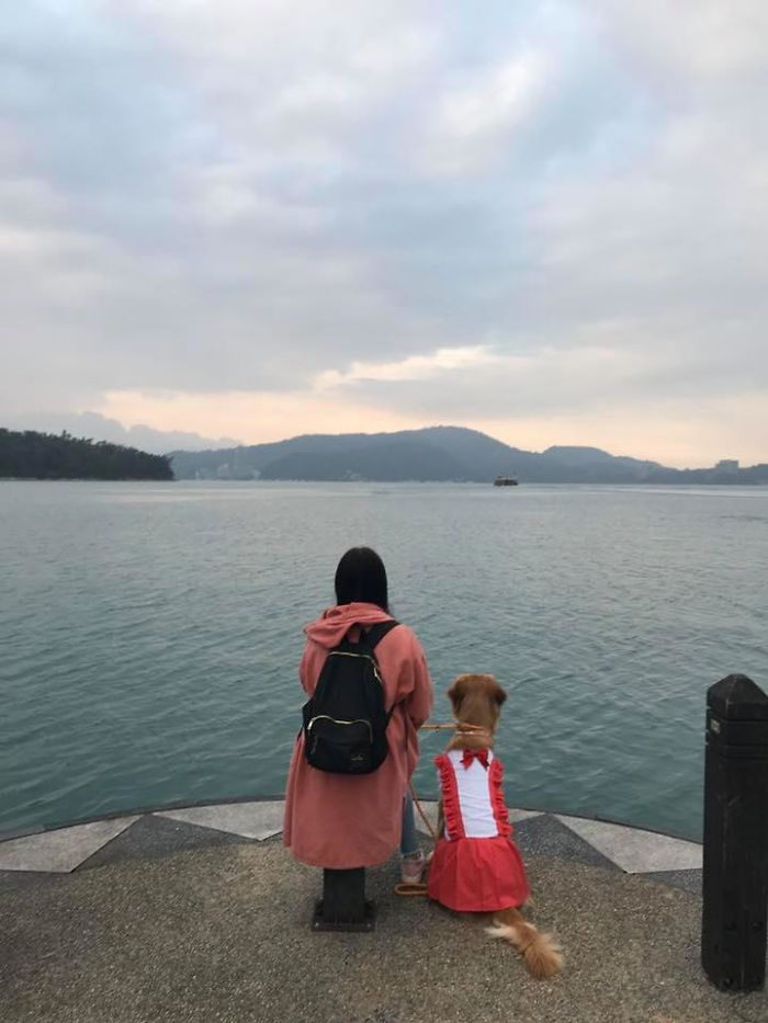 السيدة و كلبتها 