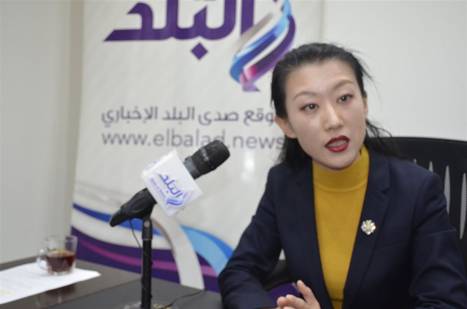 الإعلامية الصينية الشهيرة فيحاء وانغ