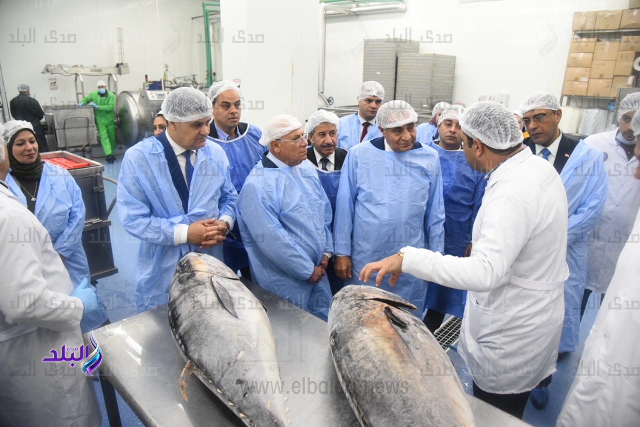 الدكتور على مصيلحى وزير التموين 