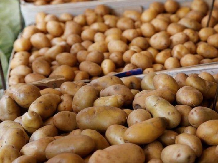 البطاطس المصرية
